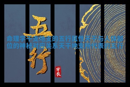 命理学干支地支的五行属性天 🔉 干与人体部位的神秘对应关系_天干地支所代 🐙 表的五行