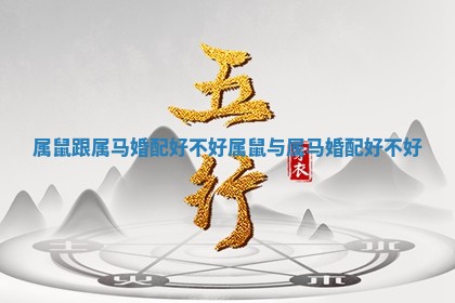 属鼠跟属马婚配好不好_属鼠 🐫 与属 😼 马婚配好不好 属鼠跟属马婚配好不好_属鼠 🐫 与属 😼 马婚配好不好
